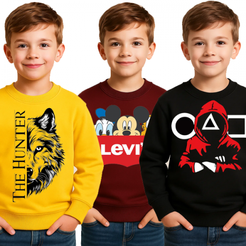Pack Of 3 Printed Sweatshirt For Kids